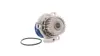 Насос водяной AUDI, SEAT, SKODA, VW (пр-во) SKF VKPC 81620