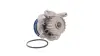 Водяная помпа (насос) SKF VKPC 81623