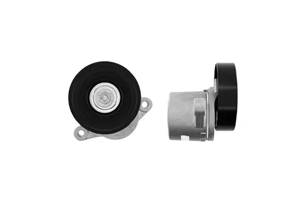 Натяжной ролик SKF VKM 66005