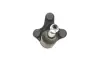 Несущий / направляющий шарнир SKF VKDS311011