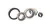 Підшипник колеса,комплект SKF VKBA 3429
