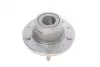 Пiдшипник ступицi колеса SKF VKBA7029