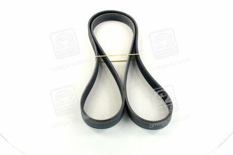 Привідний ремінь генератора skf VKMV6PK1815