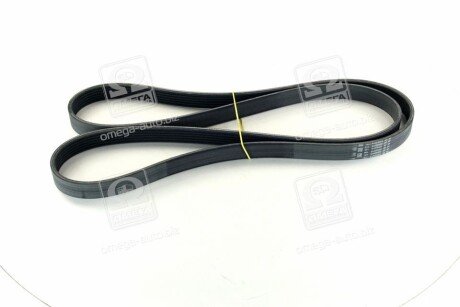 Привідний ремінь генератора skf VKMV6PK1815