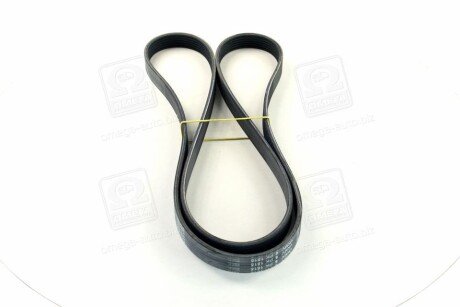 Привідний ремінь генератора skf VKMV6PK1815