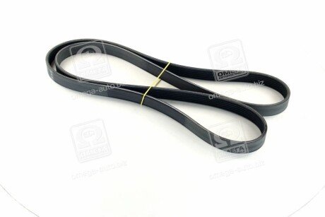 Привідний ремінь генератора skf VKMV6PK1815 на Дачия Логан