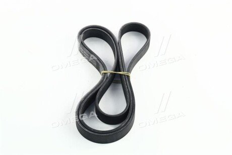 Привідний ремінь генератора skf VKMV6PK1873