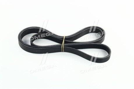 Привідний ремінь генератора skf VKMV6PK1873