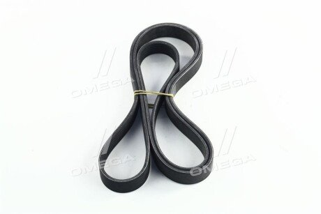 Привідний ремінь генератора skf VKMV6PK1873