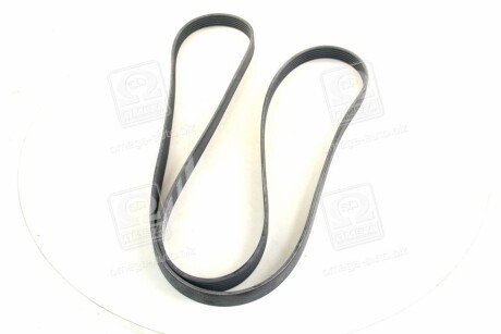 Привідний ремінь генератора skf VKMV6PK2155