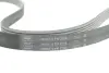Поликлиновой ремень SKF VKMV6PK2196 (фото 2)