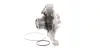Водяная помпа (насос) SKF VKPC 88501