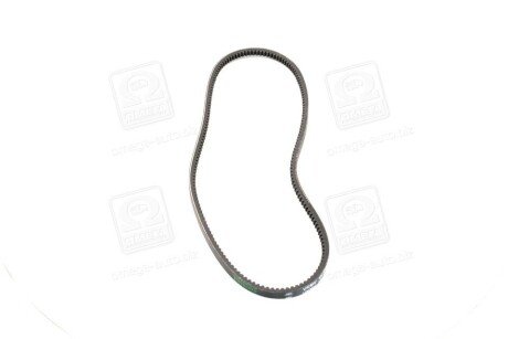 Привідний ремінь генератора skf VKMV10AVx950