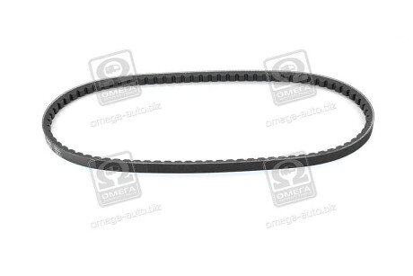 Привідний ремінь генератора skf VKMV13AVx875