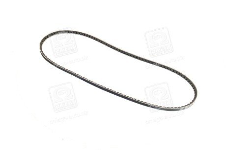 Привідний ремінь генератора skf VKMV10AVX1250 на Рено Сафран