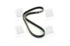 Ремень поликлин. (пр-во) SKF VKMV4PK855