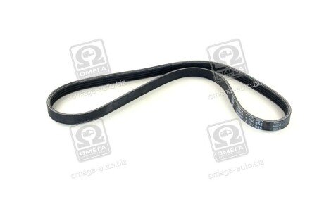 Привідний ремінь генератора skf VKMV4PK855