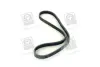 Ремень поликлин. (пр-во) SKF VKMV4PK855