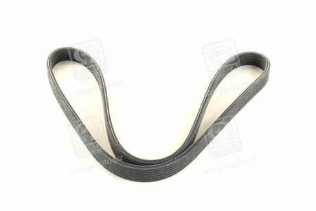 Привідний ремінь генератора skf VKMV6DK1195