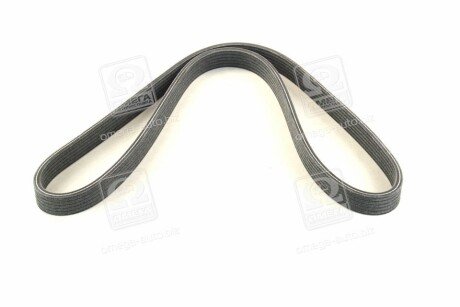 Привідний ремінь генератора skf VKMV6DK1195