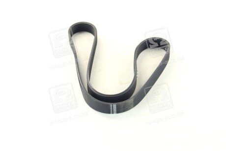 Привідний ремінь генератора skf VKMV6PK1042