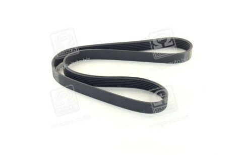 Привідний ремінь генератора skf VKMV6PK1042