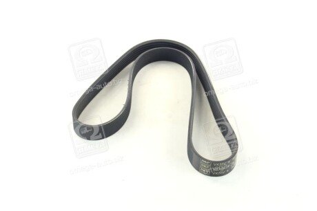 Привідний ремінь генератора skf VKMV6PK1042