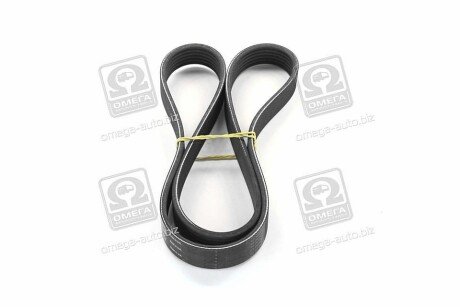 Привідний ремінь генератора skf VKMV6PK1117