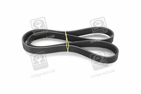 Привідний ремінь генератора skf VKMV6PK1117