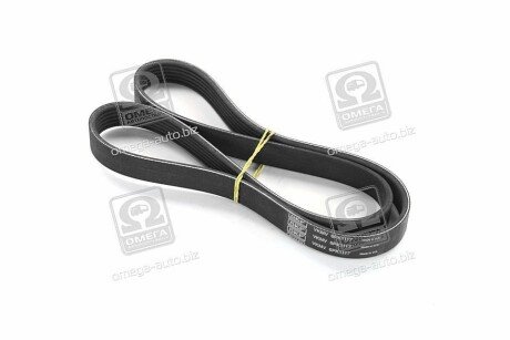 Привідний ремінь генератора skf VKMV6PK1117 на Фольксваген Пассат б7