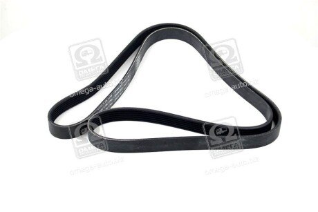 Привідний ремінь генератора skf VKMV6PK1795