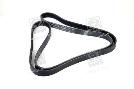 Привідний ремінь генератора skf VKMV6PK1795