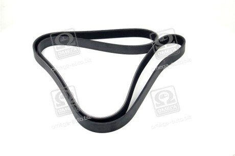 Привідний ремінь генератора skf VKMV6PK1795