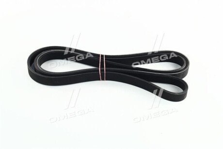 Привідний ремінь генератора skf VKMV6PK2000