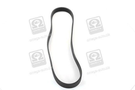 Приводной ремень генератора skf VKMV6PK923