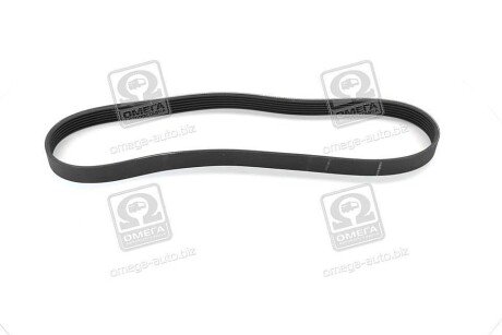 Приводной ремень генератора skf VKMV6PK923