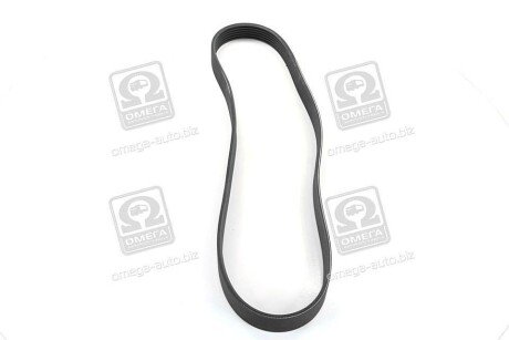 Приводной ремень генератора skf VKMV6PK923