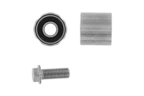 Ролик модуля натягувача ременя SKF VKM 21220