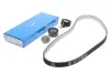 Роликовий модуль натягувача ременя (ролик, ремінь) SKF VKMA03315