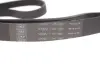 Роликовий модуль натягувача ременя (ролик, ремінь) SKF VKMA36132