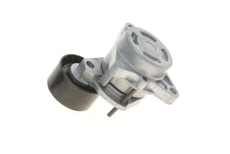 Роликовий модуль натягувача ременя skf VKM36071