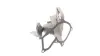 Водяная помпа (насос) SKF VKPC 84220
