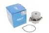 Водяная помпа (насос) SKF VKPC81215