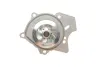 Водяная помпа (насос) SKF VKPC81242