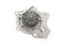 Водяная помпа (насос) SKF VKPC81242