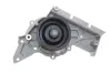 Водяная помпа (насос) SKF VKPC81304