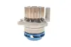 Водяная помпа (насос) SKF VKPC81623