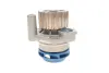 Водяная помпа (насос) SKF VKPC81623