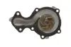 Водяная помпа (насос) SKF VKPC84219