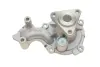 Водяная помпа (насос) SKF VKPC84219